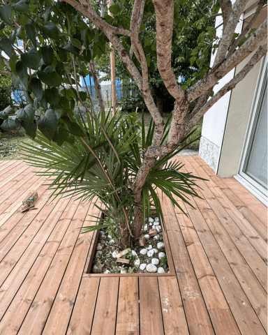 contour arbre terrasse bois